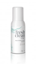 Fresh+Clean Cabin Aerosol Spray